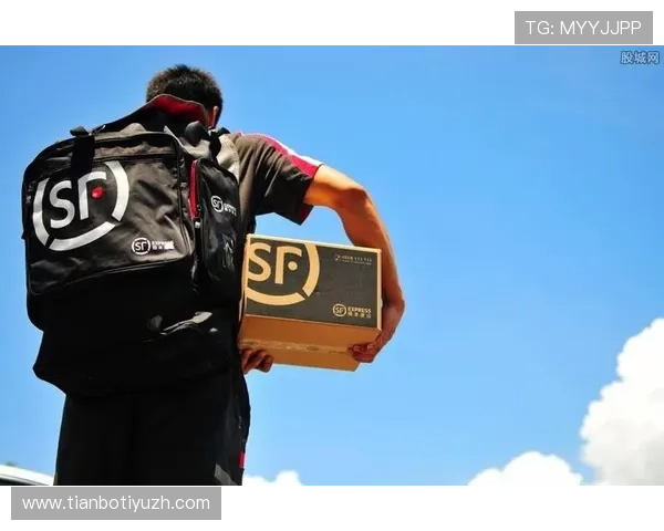 全面解析365速发官网的快递业务流程与客户服务优势 全面解析365速发官网的快递业务流程与客户服务优势