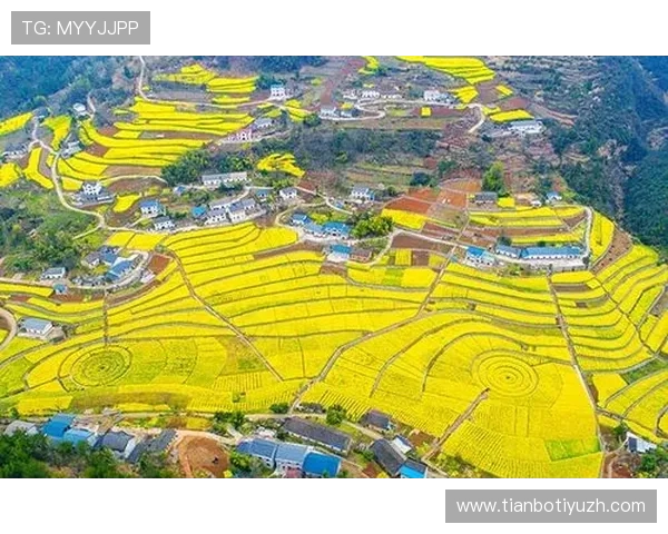 明升体育多设备登录同步操作流程,确保随时随地畅玩体育娱乐 明升体育多设备登录同步操作流程,确保随时随地畅玩体育娱乐